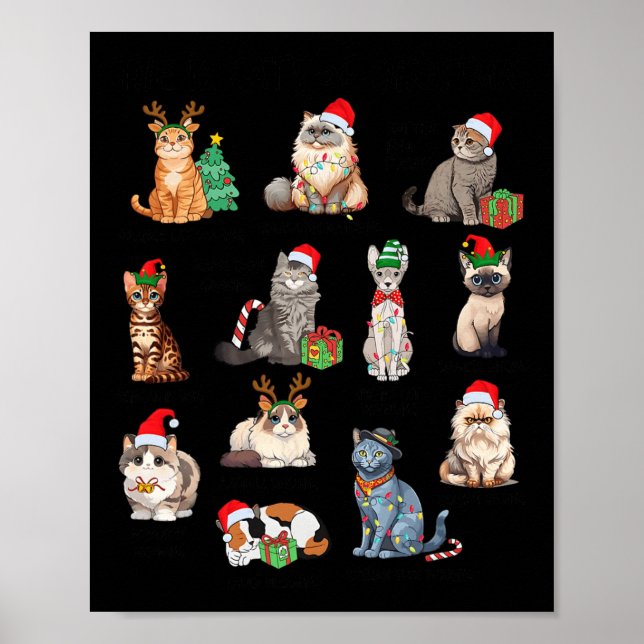 Poster 12 Chats De Noël Drôle Amoureux des chats de Noël  (Devant)
