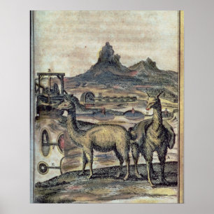 Poster 137-0627924 illustration d'une histoire du Pérou