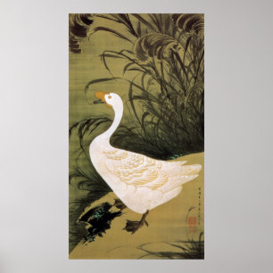 Poster 13. 芦 鵞 図, 冲 Reed & Goose, Jakuchu, Japon Art,