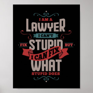 Poster 13.Je Suis Un Avocat Je Ne Peux Pas Réparer Stupid