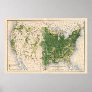 Poster 149 chevaux, mules, mille d'asses/sq