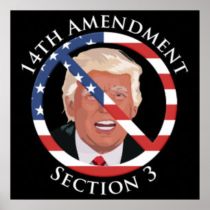 Poster 14e amendement anti-Trump