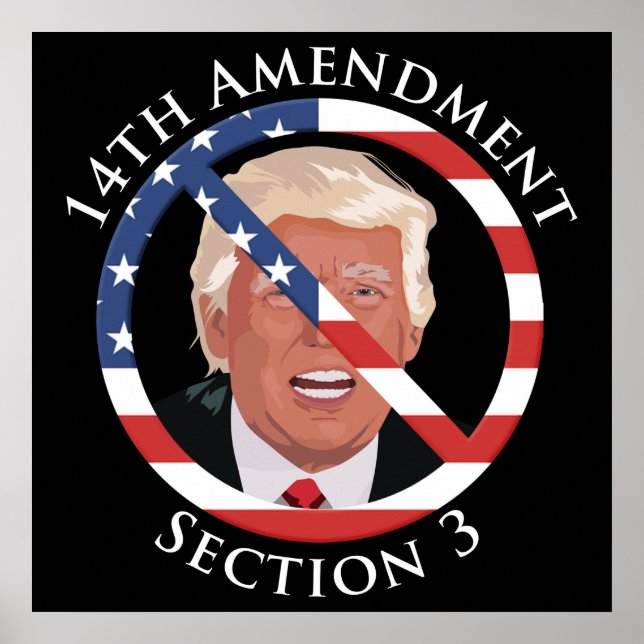 Poster 14e amendement anti-Trump (Devant)