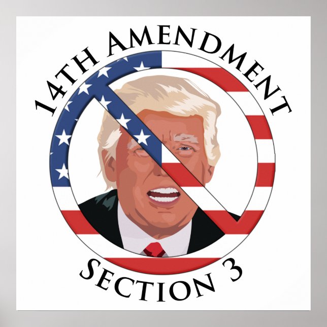 Poster 14e amendement anti-Trump (Devant)