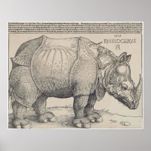 Poster 1515 DURER's RHINOCERUS