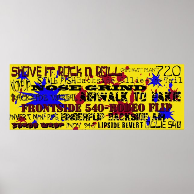 Poster 15.Noms populaires des pistes de skateboard (Devant)