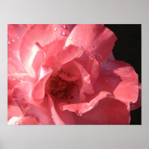 Poster 16 x 12