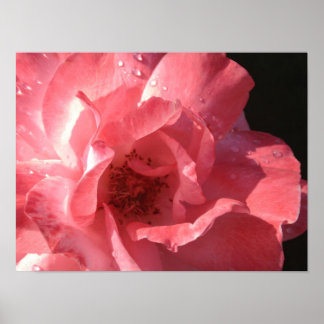 Poster 16 x 12