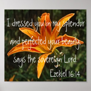 Poster 16h14 d'Ezekiel de vers de bible de lis tigré