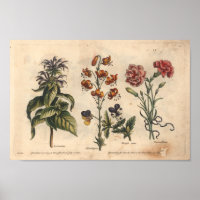 1757 OEuvre d'art botanique
