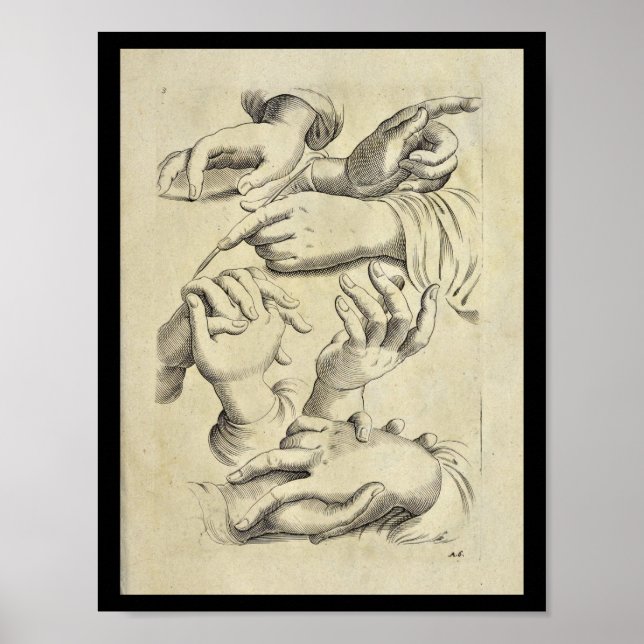 Poster 1770 Anatomie artistique Doigts humains Imprimer (Devant)