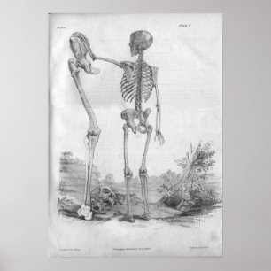 Poster 1854 Squelette d'anatomie Vintage