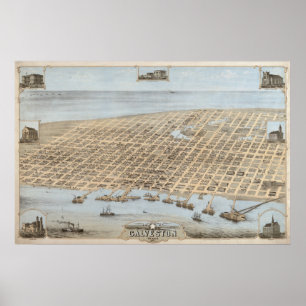 Poster 1871 Galveston, TX Oiseaux Vue panoramique Carte