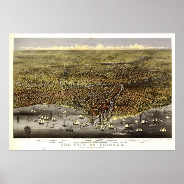 Poster 1874 Chicago, IL Oiseaux Vue panoramique (Devant)