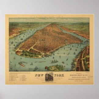 Poster 1879 New York City NY Oiseaux Vue panoramique