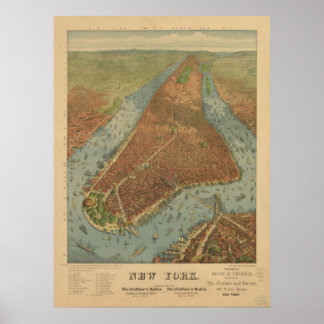 Poster 1879 New York City NY Oiseaux Vue panoramique