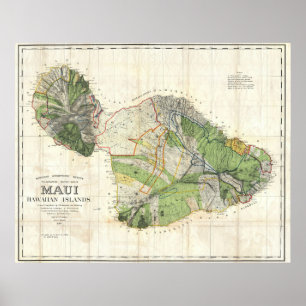 Poster 1885 De Witt Alexander Plan du mur de Maui, Hawaii