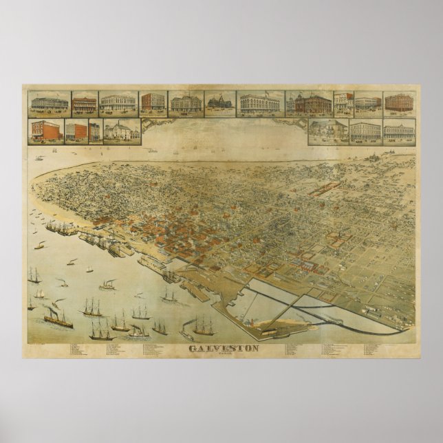 Poster 1885 Galveston, TX Oiseaux Vue panoramique Carte (Devant)