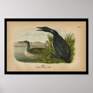 Poster 1890 Loon à imprimer