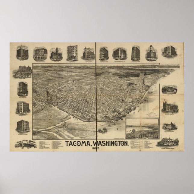 Poster 1893 Tacoma, WA Oiseaux Vue panoramique Carte (Devant)
