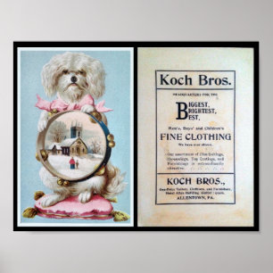 Poster 1898, Clothiers, Chien, Publicité, Vintage