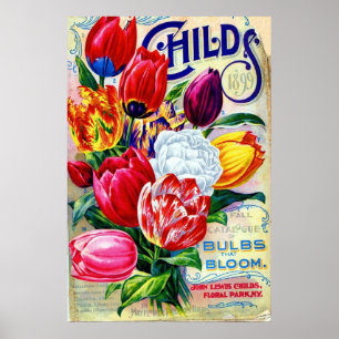 Poster 1899 John Lewis Childs Horticulture Florale Vintag
