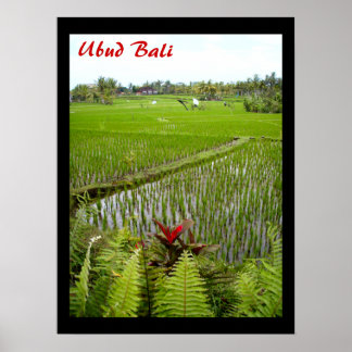 Poster (18" x 24") Le Flower Ubud Bali
