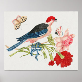 Poster 18th Century Vintage Birds, Flowers & Butterflies
