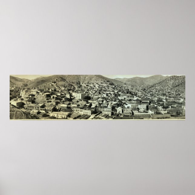 Poster 1916 Oiseaux Vue oculaire de Bisbee, AZ Photo Vint (Devant)