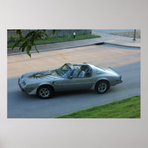 Poster 1979 10e anniversaire Trans Am
