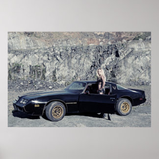 Poster 1979 Pontiac Trans Am 6,6 litres V8