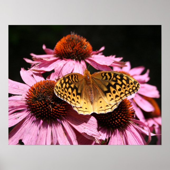 Poster 19x15" (Front)