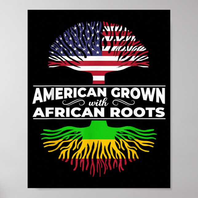 Poster 1 Américain Cultivé Africain Racines Usa Drapeau B (Devant)