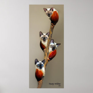 Poster 2008JuilletMontrerPussyWillowToasty