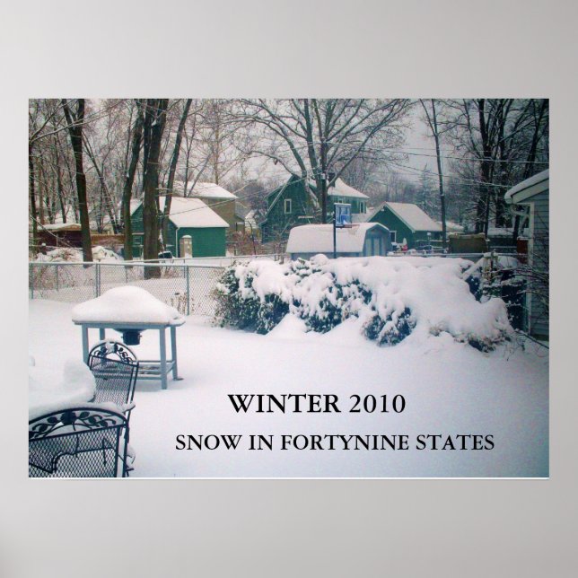 POSTER 2010, AFFICHAGE DE NEIGE DANS LA FORTYNINE ETATS (Devant)