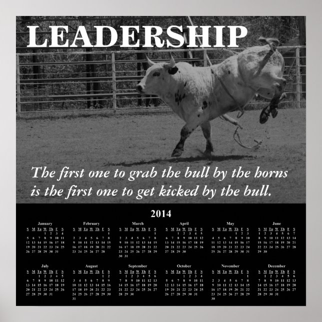 Poster 2014 Démotivational Calendar Leadership (Devant)