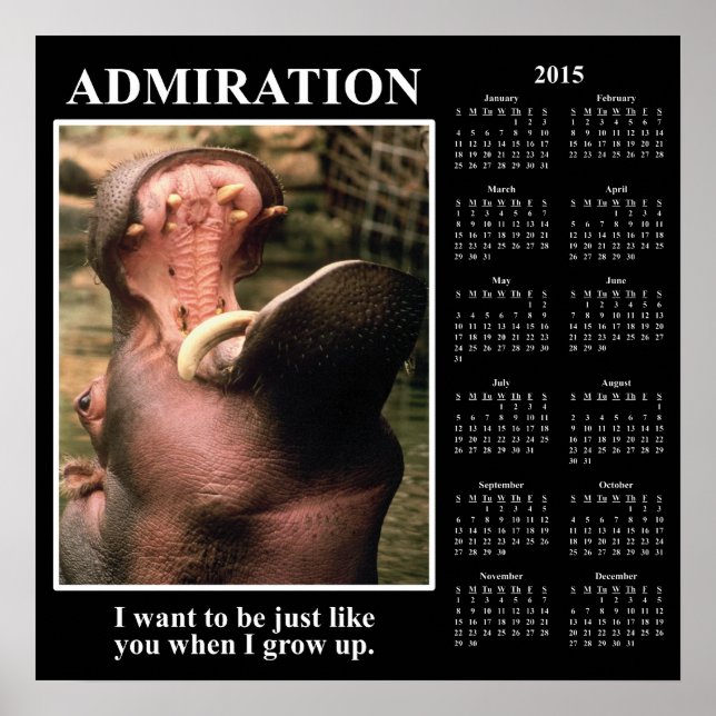 Poster 2015 Demotivational Wall Calendrier : Je Vous Admi (Devant)