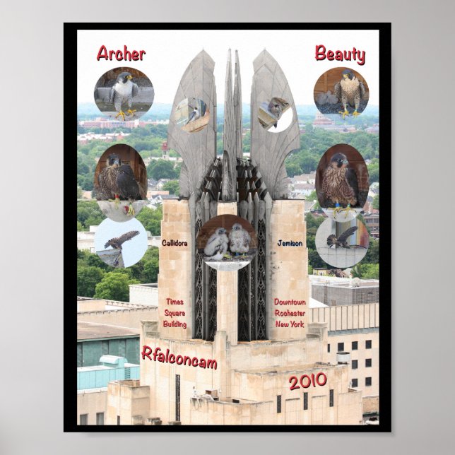 Poster 2019 Beauty et Archer 8x10 à Times Carré (Devant)