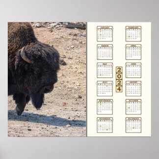 Poster 2024 - "Buffalo"