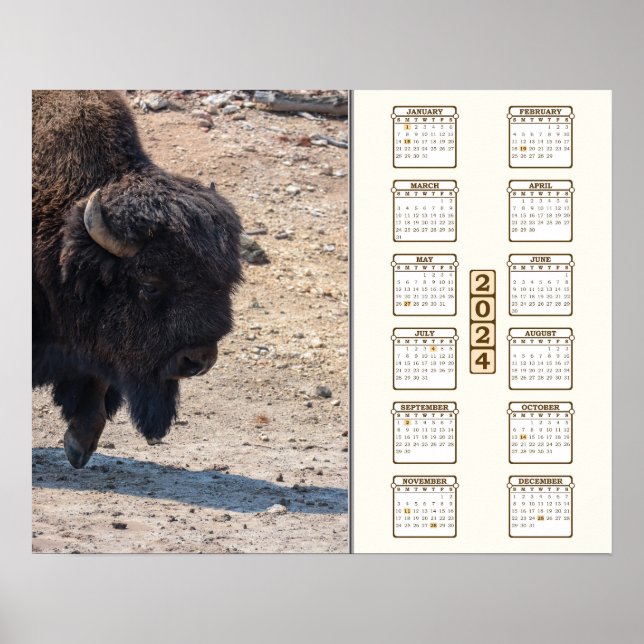 Poster 2024 - "Buffalo" (Devant)