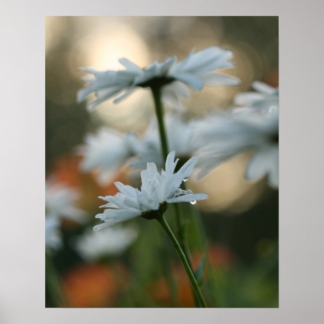 Poster 20 po x 16 po, papier d'affiche de valeur (Matte) (Devant)