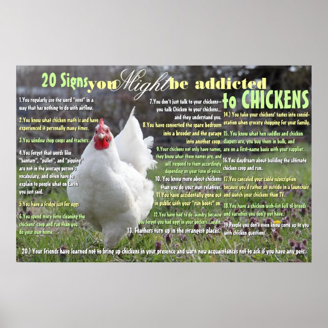 Poster 20 Signes Vous POURRIEZ être accroché aux poulets (Devant)