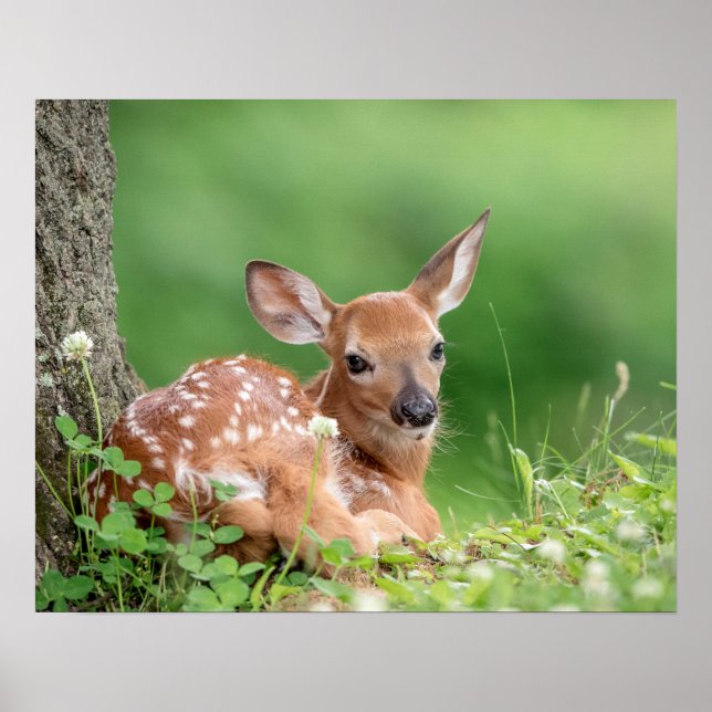 Poster 20x6 Fête adorable posée sous un arbre (Devant)
