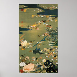 Poster 24. 貝 甲 図, 冲 Shells, Jakuchu (Japon) Art, Jakuchu 