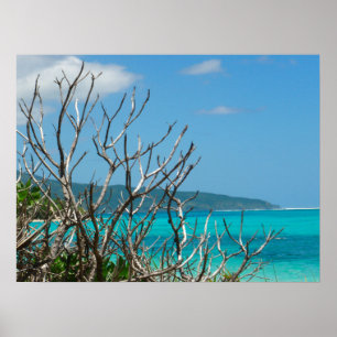 Poster (24"x18") Water Sky Trees Vanuatu