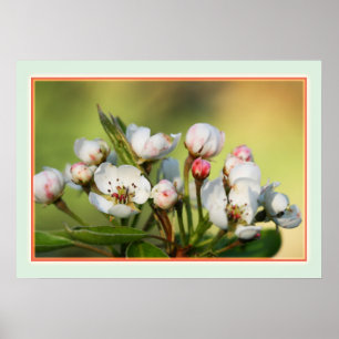 Poster 28 po x 20 po, papier d'affiche de valeur (Matte)