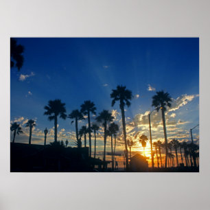 Poster 28" x 20", papier d'affiche de valeur (mat)