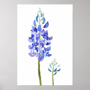 Poster 2 aquarelle bleu bleu et pourpre