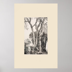 Poster 2 arbres cendrés Cornwall Eleanor Hughes Restrike