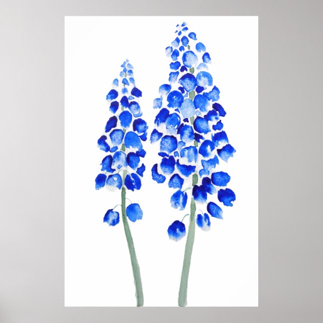 Poster 2 bleu hyacinthe de raisin abstrait aquarelle (Devant)